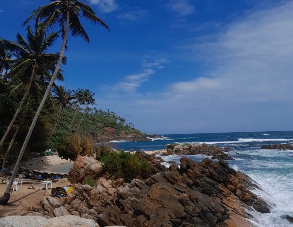 The 4 Best Hostels in Mirissa