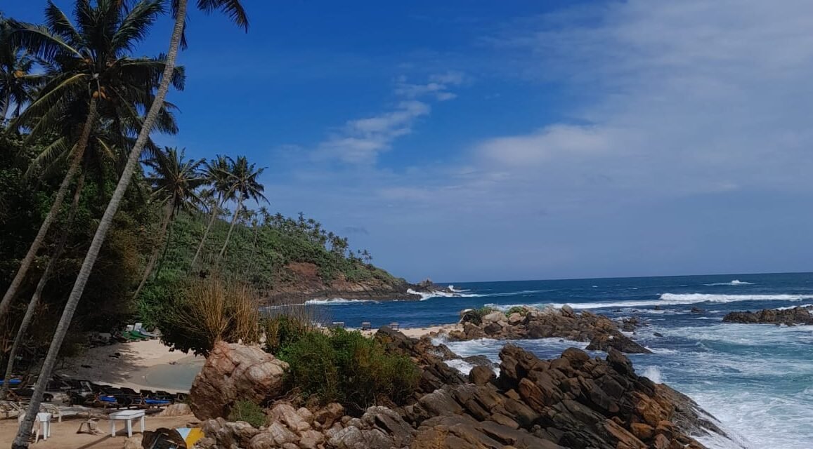 The 4 Best Hostels in Mirissa