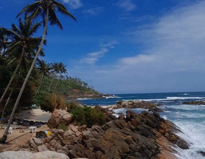 The 4 Best Hostels in Mirissa